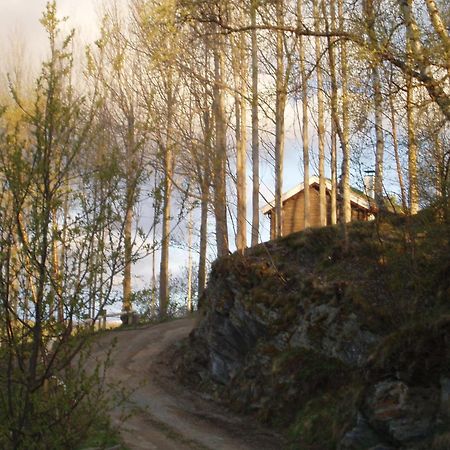 Ivaregga Vinterstua Tolga Exterior photo