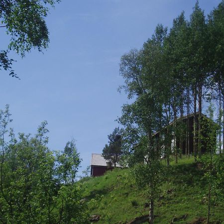 Ivaregga Vinterstua Tolga Exterior photo