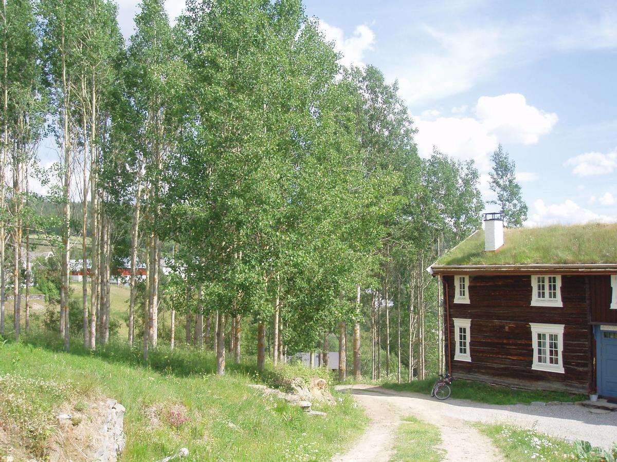 Ivaregga Vinterstua Tolga Exterior photo